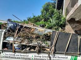 Best Residential Junk Removal  in Leadwood, MO